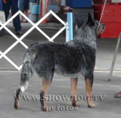 Clique sobre a foto para fechar